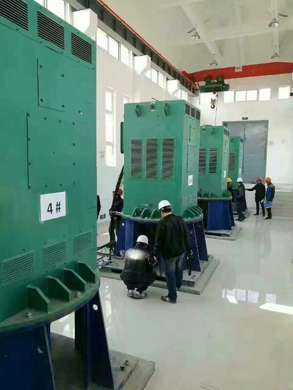 苏尼特左某污水处理厂使用我厂的立式高压电机安装现场生产厂家
